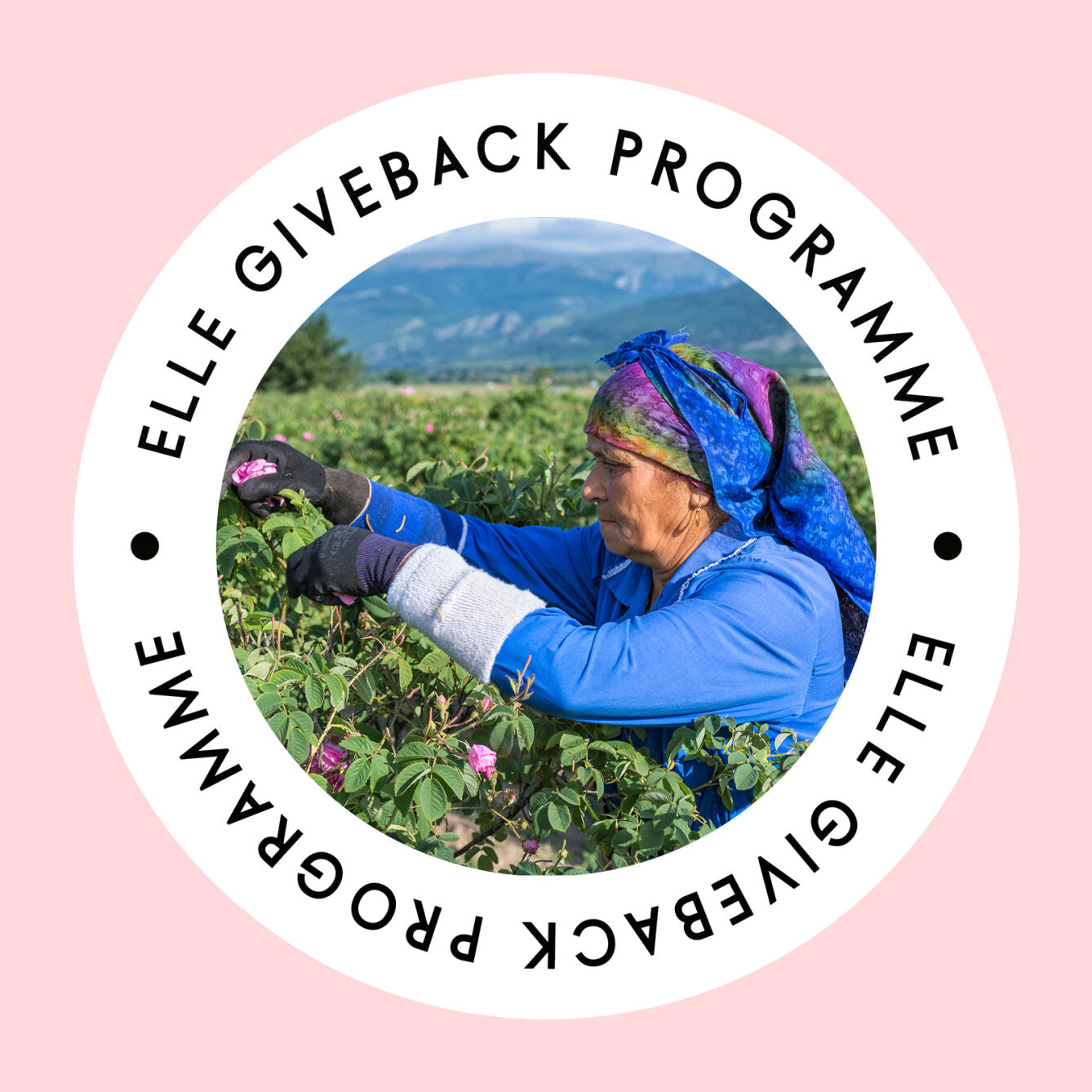 The Azra giveback programme supports the local women that ethically source the Turkish Rose in the fragrance in the Balkans.